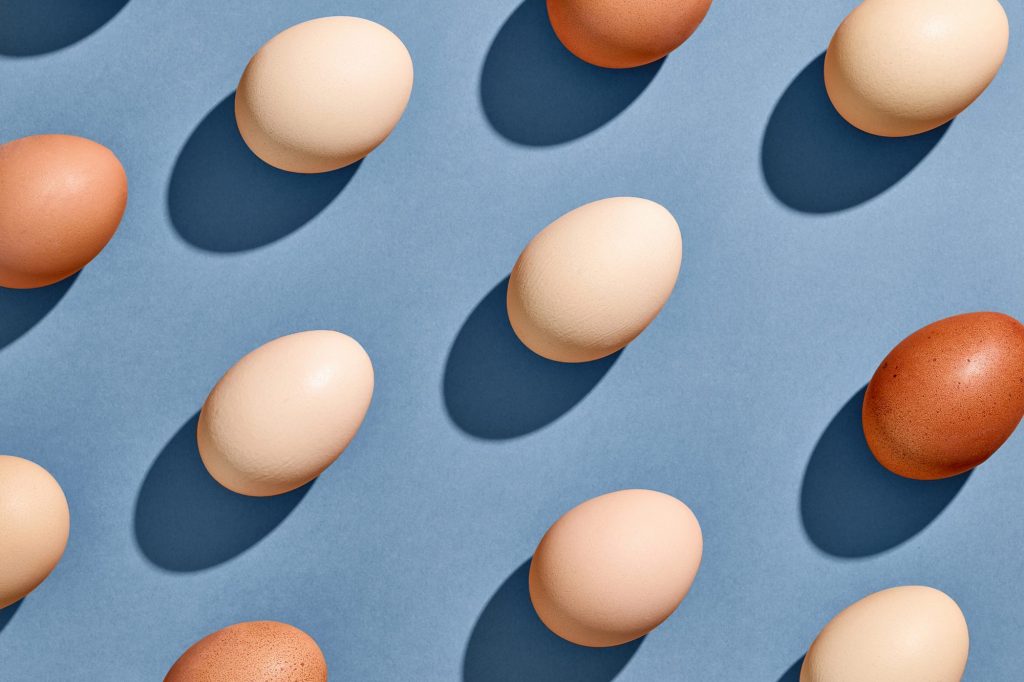 egg collector