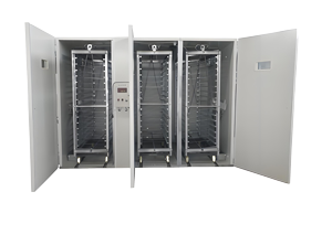 large egg incubator