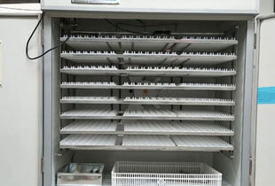 large-incubator-for-sale