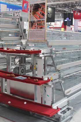 A-type-chicken-cage