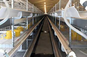 automatic-chicken-feeder