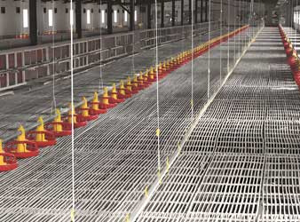 plastic-poultry-flooring