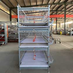 poultry-house-for-1000-layers