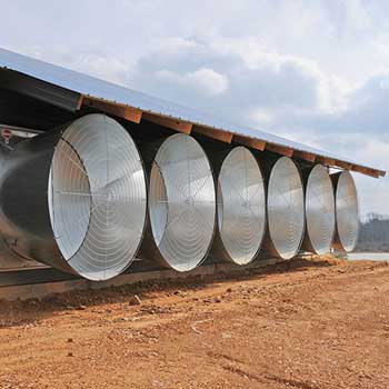 poultry-house-ventilation-fan