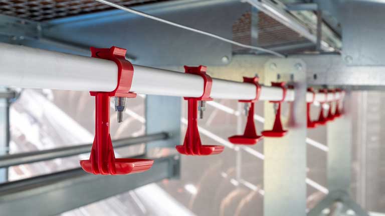 aviary-watering-system